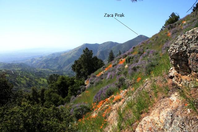 Zaca Peak
