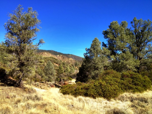 Godwin Canyon