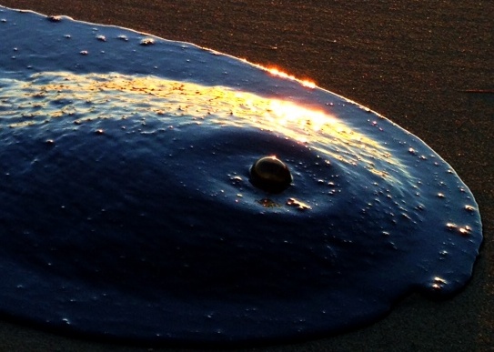 oil tar carpinteria beach