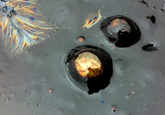 oil seep carpinteria beach