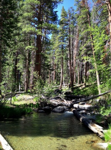 Sierra Creek