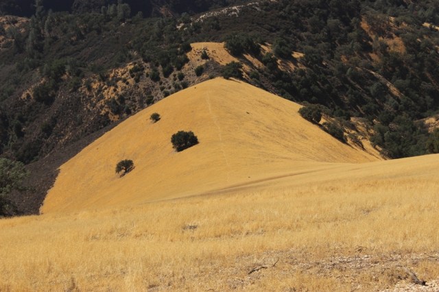 Grass Mountain Figueroa