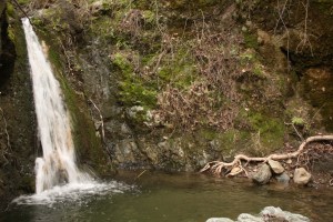 Los Padres National forest cascade waterfall