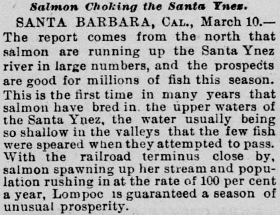 salmon santa ynez river