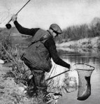 santa-ynez-river-steelhead-1942