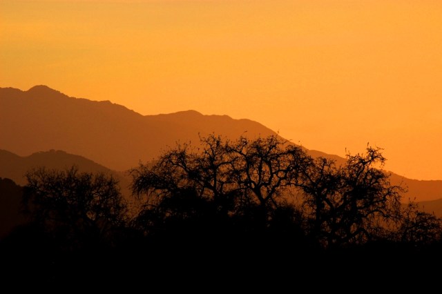 Figueroa Mountain sunset