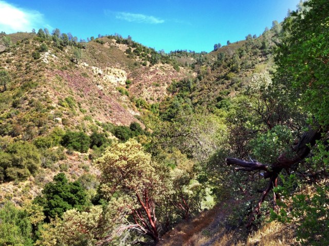 Ballard Camp Alamo Pintado Creek headwaters Figueroa Mountain