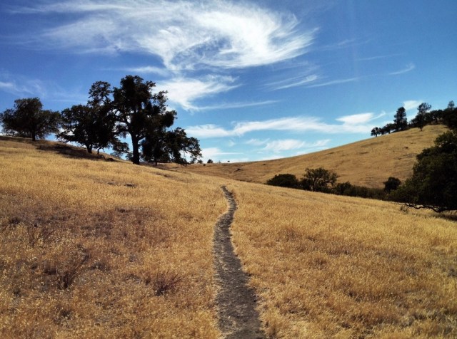 La Jolla Trail Figueroa Mountain