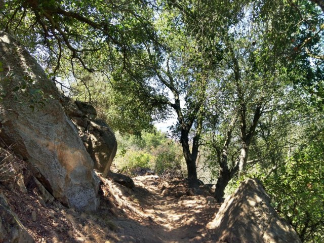 San Ysidro Trail Los Padres National Forest