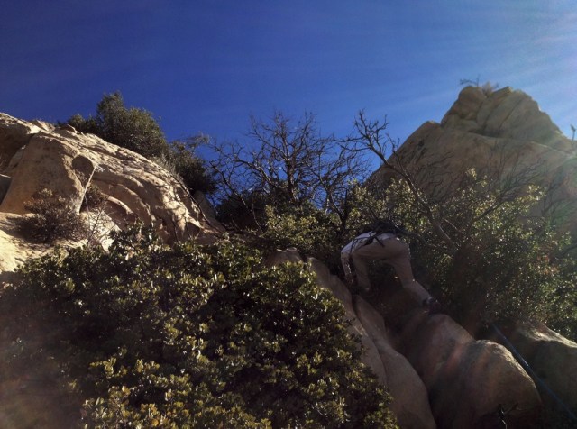 Whiteacre Peak rope climb