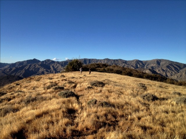 Whiteacre Peak Sespe Wilderness hike