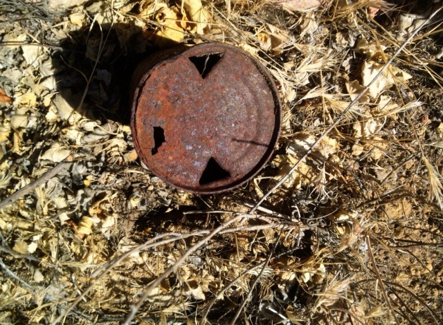 Los Padres National Forest litter