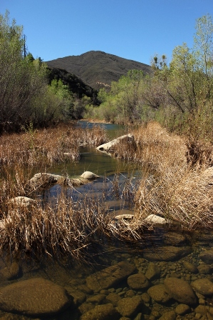 Sespe Creek pools