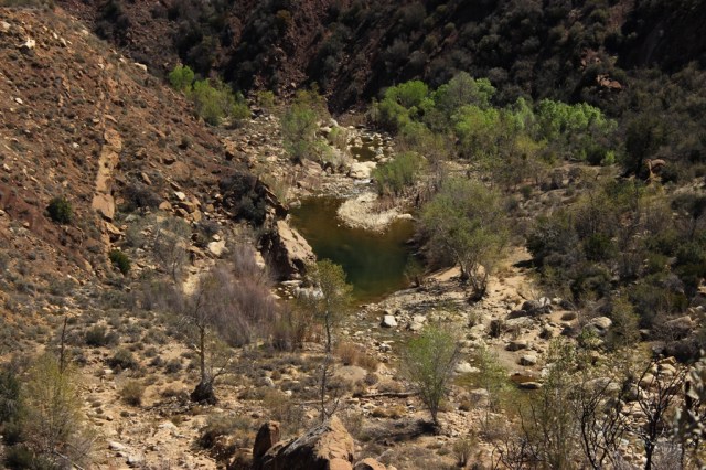 Sespe Creek Swimming Hole