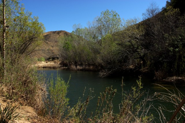 Sespe River Creek