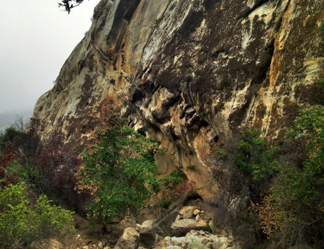 Santa Ynez River tributary creek