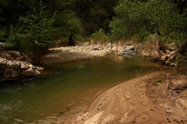 Santa Ynez River tributary stream