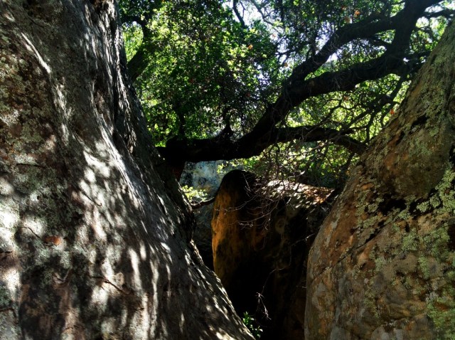 Devils Playground Santa Barbara Goleta Santa Ynez Mountains