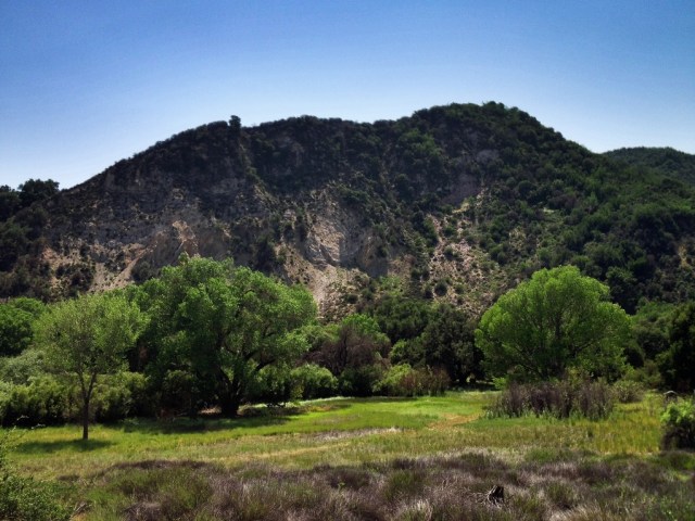Mono Camground debris dam meadow