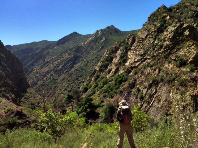 Mono Creek Narrows canyon