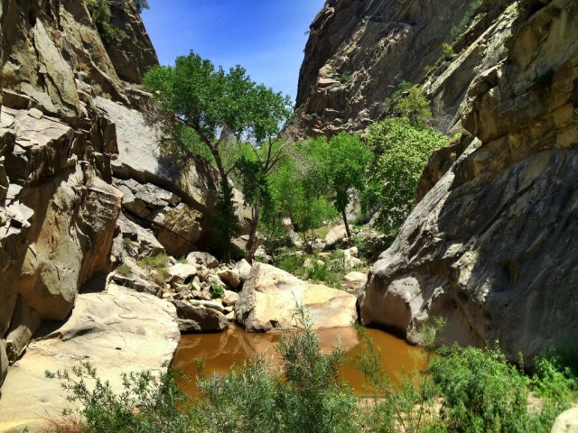 Mono Creek Narrows hike