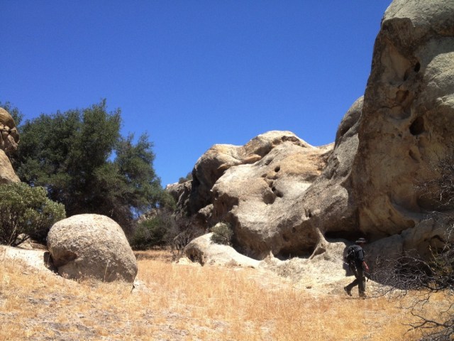 David Stillman Sespe Brush Ninjas