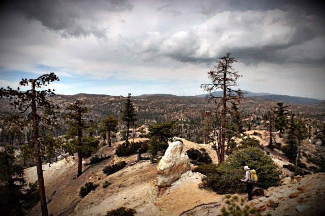 Sespe Wilderness Cedar Creek hike