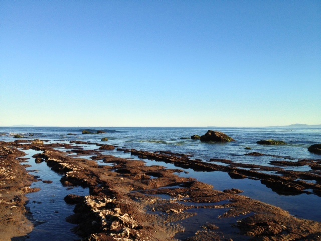 Santa Barbara California spearfishing freediving