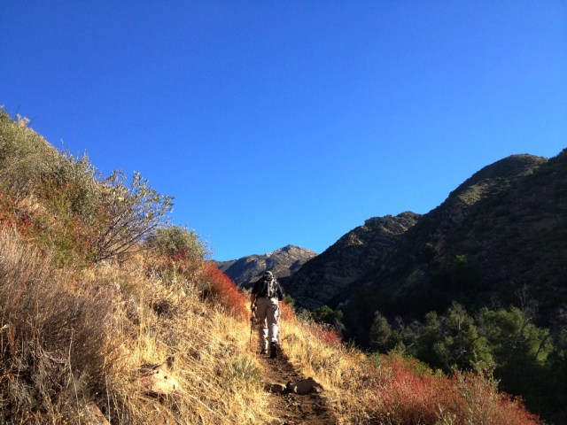 Gene Marshall Piedra Blanca National Recreation Trail