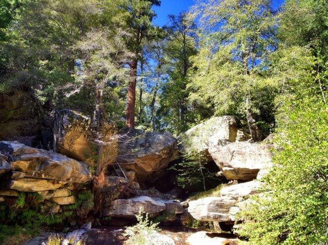 Piedra Blanca Creek grotto
