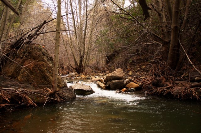 Santa Ynez Mountains Los Padres National Forest creek pool