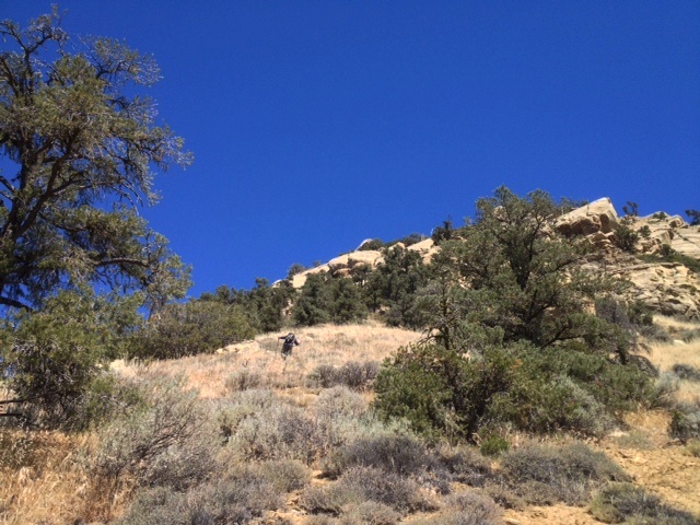 Eagle Rest Peak San Emigdio hikes