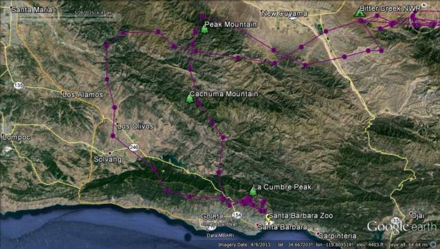 Condor 717 Santa Barbara La Cumbre Peak Santa Ynez Mountains
