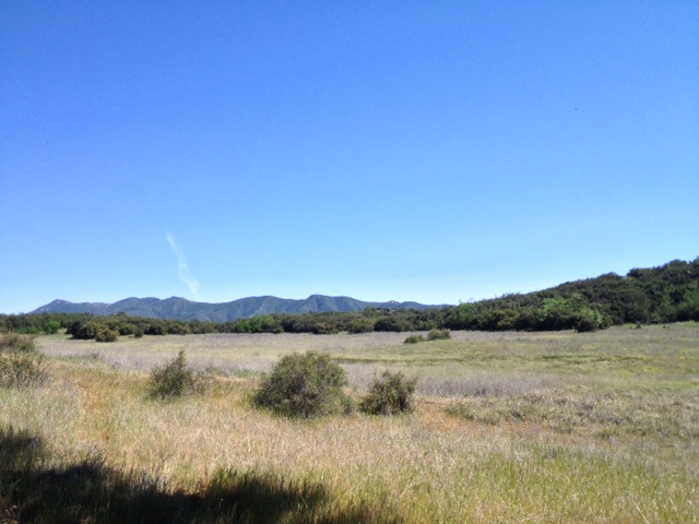 Mollisol Meadow Los Padres Santa Barbara hiking