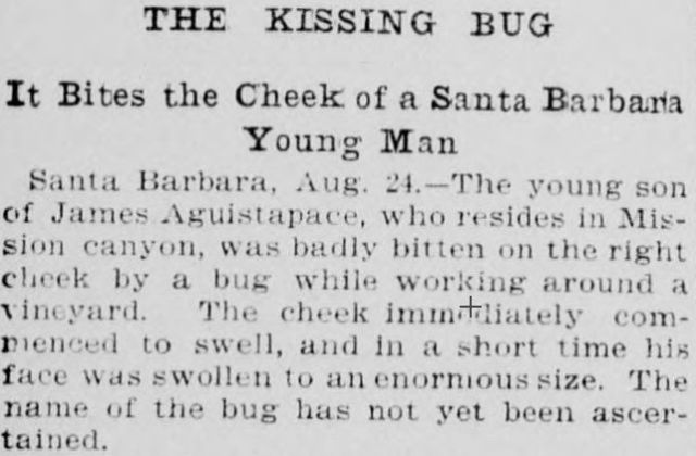 kissing assassin bug santa barbara