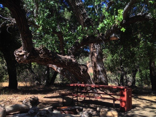 Coldwater Camp San Rafael Wildernes Santa Barbara hikes