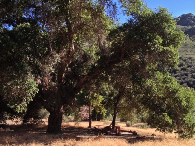 Coldwater Camp San Rafael Wilderness Santa Barbara