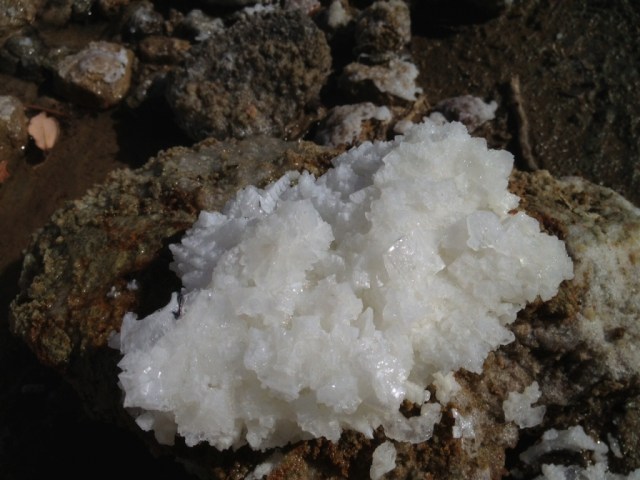 Salt crystal Los Padres Forest hike