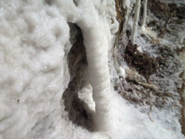 Salt Seep Flat Los Padres Sespe hikes