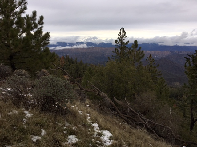 Figueroa Mountain Ranger Peak Trail hike Los Padres