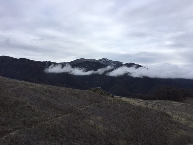 Figueroa Mountain Ranger Peak Trail hiking Los Padres