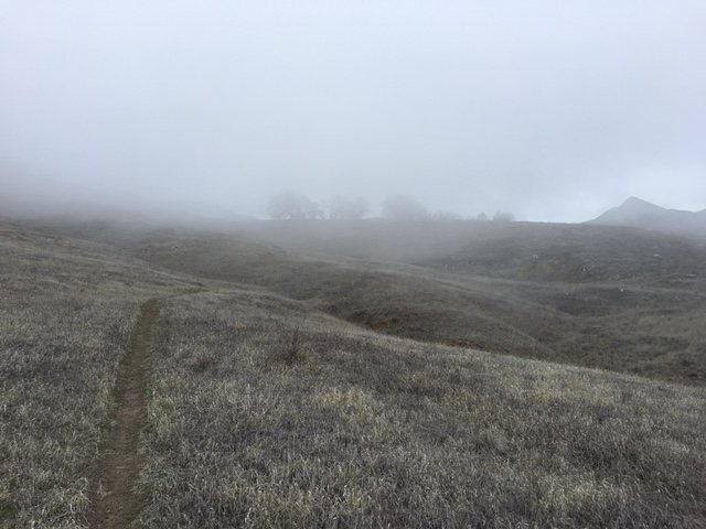 Figueroa Mountain Ranger Peak Trail