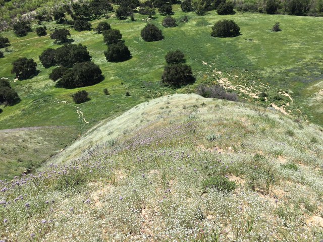 Sage Hill Los Padres Santa Ynez River Santa Barbara hike