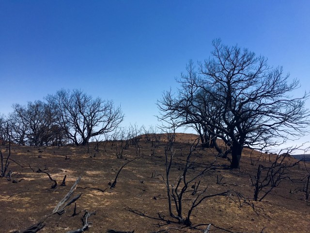 gaviota-sherpa-2016-fire