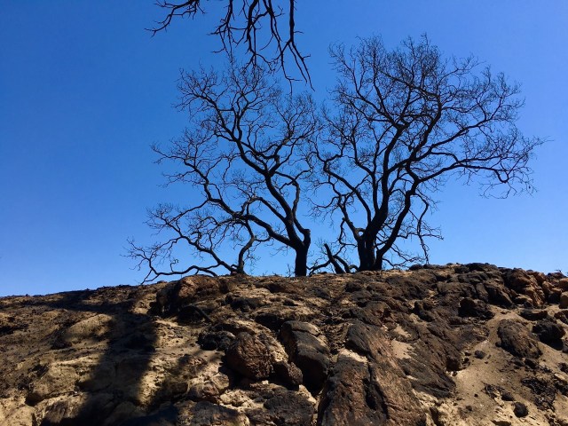 sherpa-fire-2016-gaviota-coast