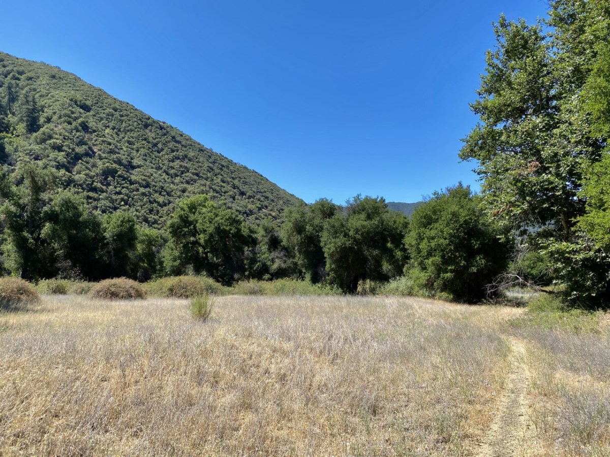 Foreclosure Jack Elliott's Santa Barbara Adventure